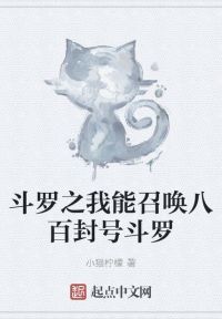 斗罗之我能召唤八百封号斗罗