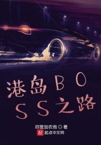 港岛BOSS之路